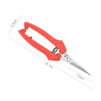 中号修枝剪(长18.5cm) 买2送1(共发3把)|不锈钢树枝修枝剪摘水果花木剪刀园林果树花卉枝嫁接园艺剪刀工具
