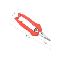 小号修枝剪(长16.2cm) 1把装|不锈钢树枝修枝剪摘水果花木剪刀园林果树花卉枝嫁接园艺剪刀工具
