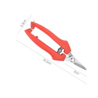 小号修枝剪(长16.2cm) 买2送1(共发3把)|不锈钢树枝修枝剪摘水果花木剪刀园林果树花卉枝嫁接园艺剪刀工具