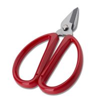 指甲剪刀_促销|不锈钢指甲剪刀线头小剪刀修脚指甲美甲剪刀老人家用剪刀锋利剪刀