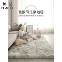 熊起家纺2021地毯卧室满铺北欧ins客厅茶几床边少女房间床下毛绒网红毛毯地垫