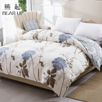 熊起家纺2021被套单件全棉被罩被单1.8x2.0米纯棉单人双人150x200x230x180秋季