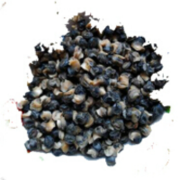 新鲜田螺肉鲜活现挑冷冻螺丝肉活小蛳肉冷冻真空袋装1斤