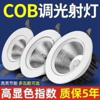 筒灯led射灯嵌入式家用cob天花灯客厅吊顶洞灯开孔7.5聚光牛眼灯