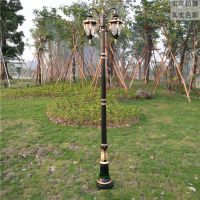 户外草坪庭院防水落地灯欧式花园别墅景观家用照明双头防水高杆灯D4