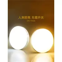 人体感应灯智能小夜灯古达声光控充电家用衣柜过道楼梯免布线起夜