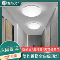 鲸与光吸顶灯家用客厅卧室灯具楼梯阳台灯全白吸顶灯面包灯圆形工程(i5E)