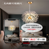 古达轻奢客厅吊灯卧室灯年货水晶灯现代简约北欧蒲公英火花球餐厅灯具