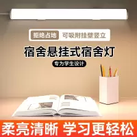 TCL台灯学生宿舍学习磁吸灯管儿童卧室床头灯阅读夜灯