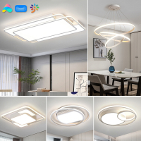 大海边灯具组合全屋套餐三室两厅四室智能客厅灯简约现代大气吸顶灯-高亮白光(墙壁开关控制)