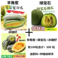 脆蜜王羊角蜜甜瓜种子羊角脆酥四季香瓜超甜早熟水果蔬菜种子 羊角蜜＋绿宝石＋冰糖籽＋肥