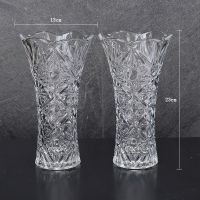 玻璃花瓶水培富贵竹玻璃瓶客厅装饰品摆件水培植物房间插花干U0|23cm砸砖款【朝阳】2只 超厚超结实非常性价比