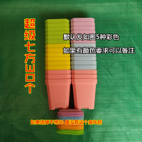 7c10c新款桌面小黑方彩方 多肉扦插育苗塑料B6|超级7方30个 单独方盆不加底托