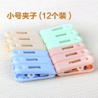 家用塑料固定夹子内衣夹内裤夹被子晾衣夹晒衣防风晾衣夹小号夹子Q7|四色24个（2包）