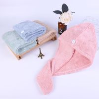 新款干发帽吸水速干长短发成人学生擦头发毛巾女包头巾浴帽E6|韩粉+奶咖（2条） 菠萝格双层【超厚】