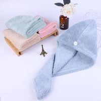 新款干发帽吸水速干长短发成人学生擦头发毛巾女包头巾浴帽E6|灰蓝+韩绿（2条） 菠萝格双层【超厚】