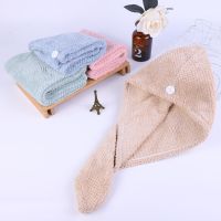 新款干发帽吸水速干长短发成人学生擦头发毛巾女包头巾浴帽E6|奶咖+韩绿（2条） 菠萝格双层【超厚】