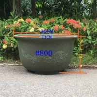 塑料大龙缸庭院家用特价处理大号超特大种果铁树L1|#800有孔无底盘 （3个）装