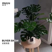 圆柱ins北欧风格带托盘室内沙漠植物现代创意高B0