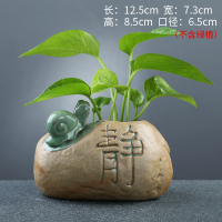 创意绿萝水培小花瓶水养植物容器家居装饰品桌面摆件插花器皿K6|XDY7603 中等