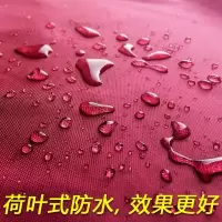 雨衣电动车防暴雨成人雨披摩托车电瓶车加大加厚单人双人男女骑行