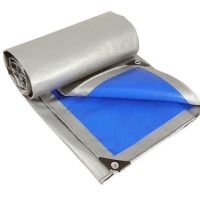 加厚防雨布防水防晒篷布货车三轮车遮阳遮雨塑料油布挡雨棚布蓬布|2*5米[加厚送绳]