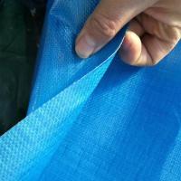 畜牧养殖场卷帘布加厚猪场卷帘布牛棚防寒保暖透光遮阳防雨布篷布|抗老化台湾PE蓝色1平方