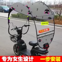 雨棚蓬电动摩托挡风加厚电瓶通用伞两轮雨篷大车棚遮阳新款电车