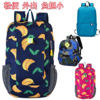 儿童小背包3-6岁5小男孩子女孩休闲男童外出旅行超轻便小童双肩包