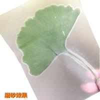 冷膜封塑纸树叶标本塑封膜过塑膜自粘a4过胶膜照片冷裱膜a3包装|A6磨砂50张(做25张透明标本-D32