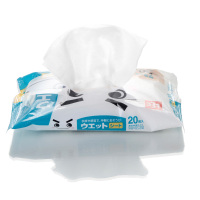 吸尘纸静电木地板拖地湿巾纸20除尘纸性日本拖把张*5包