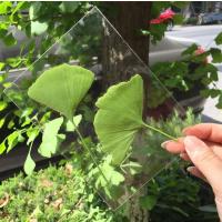 冷膜封塑纸树叶标本塑封膜过塑膜自粘a4过胶膜照片冷裱膜a3包装|A6光面20张(做10张透明标本-981