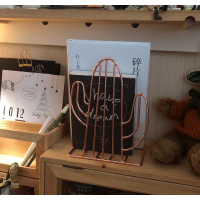 小鱼家整理收纳胡萝卜书挡书本北欧风金属仙人掌书立铁质|{仙人掌2枚}玫瑰金