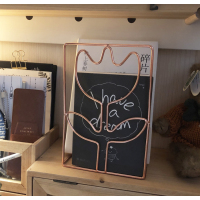 小鱼家整理收纳胡萝卜书挡书本北欧风金属仙人掌书立铁质|{花朵2枚}玫瑰金