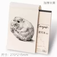 城挺成人本a4手a3学生用本彩铅本日本素描本画材本绘画纸画画儿童图画b5速写写生绘|加厚B5无线胶装80页速写本