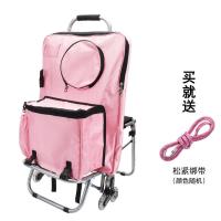 写生车美术写生拉车能集训神器美术生画车拉杆小推车一体式|写生车+粉色画袋[送扎绳]