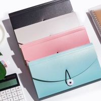 票据账单文件夹收纳册小号夹增值税专用装大容量报销单据小