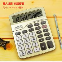 验钞语音计算器大按键真人报数水晶按键商务会计财务办公计算机|大号790真人语音(无验钞)