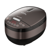 九阳铁釜电饭煲F-40T23