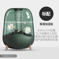德尔玛(Deerma)加湿器 家用空调房卧室孕妇婴儿空气小型香薰净化大雾量 墨绿色 标配款