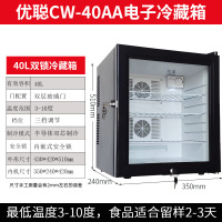 学校幼儿园食品留样柜带锁酒店客房饮料小型冰箱保鲜冷藏箱|40L(双锁)双芯制冷联保黑色+双层玻玻璃 标配0x0x0cm