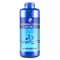 硝化细菌硝化菌细菌养鱼用品鱼缸净水剂净化剂水质稳定剂