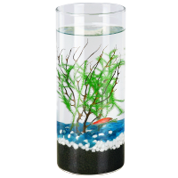 造景生态瓶迷你斗鱼鱼缸办公室桌面diy小型微景观免打理创意