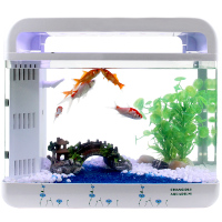 鱼缸水族箱小型玻璃鱼缸迷你生态桌面中型创意客厅方形热带金鱼缸