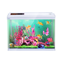 鱼缸水族箱热带鱼生态金鱼缸高清玻璃迷你小型水族箱造景鱼缸
