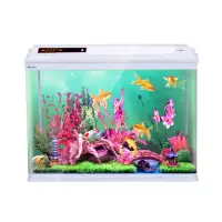 鱼缸水族箱热带鱼生态金鱼缸高清玻璃迷你小型水族箱造景鱼缸