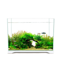 水族箱小型客厅迷你超白缸超白鱼缸生态水缸长方形玻璃鱼缸