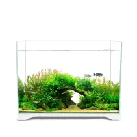水族箱小型客厅迷你超白缸超白鱼缸生态水缸长方形玻璃鱼缸