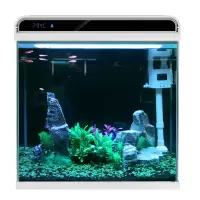 超白玻璃鱼缸客厅小型造景水族箱养金鱼生态桌面免换水懒人
