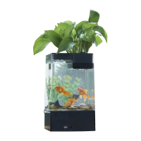 水培植物养鱼缸一体家用塑料创意懒人小型免换水桌面斗鱼专用客厅